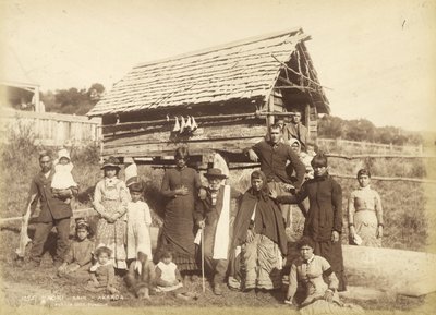 Maori Kaik - Akoroa, ca. 1884 (Albuminabzug) von Burton Brothers Studio
